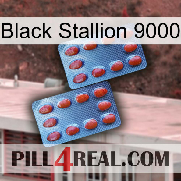 Black Stallion 9000 05.jpg